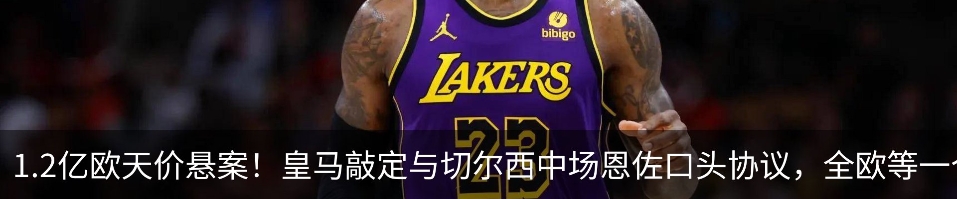 最新动态